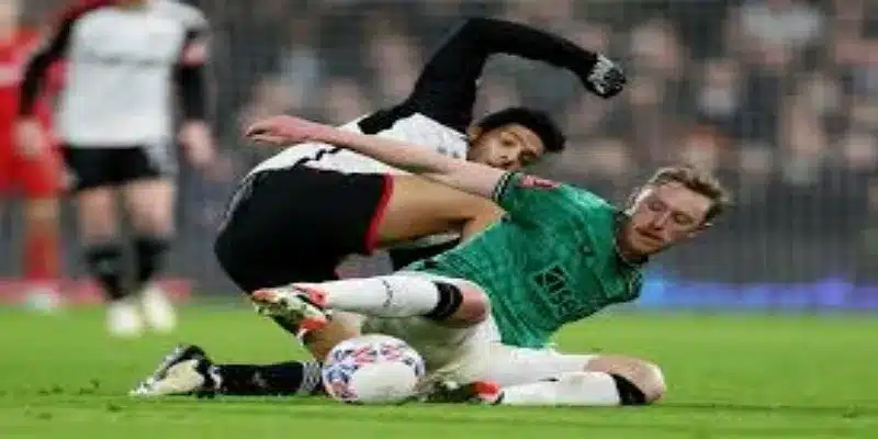 三重打击：开云体育解析疫情下的生存困境-开云体育