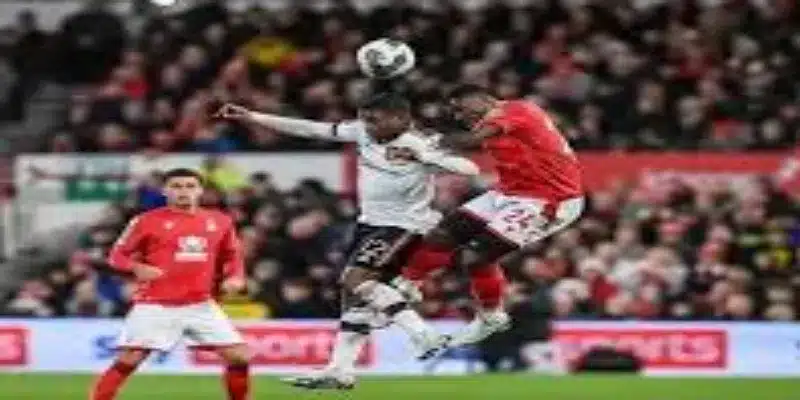 未来展望：诺丁汉森林的关键抉择-开云体育