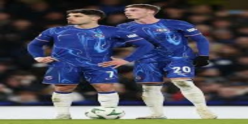 关键影响因素分析- 开云体育