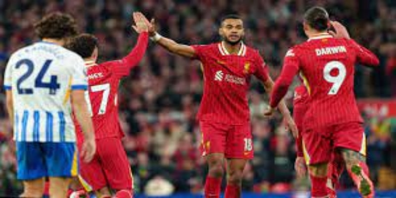 关键球员对决与投注参考-开云体育