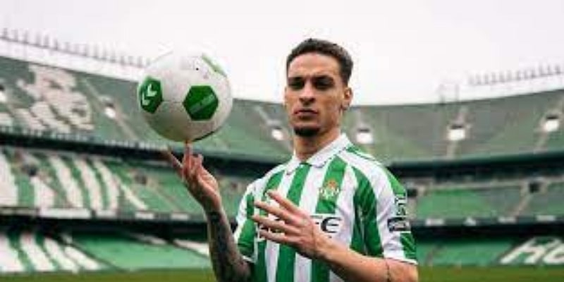 国家队传奇：苏格兰足球的稳定支柱-开云体育