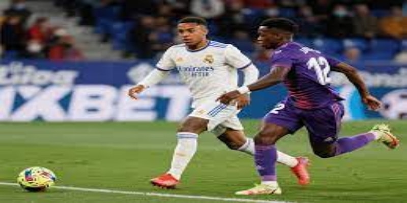 战术解析：数据揭示新星的潜能版图- 开云体育