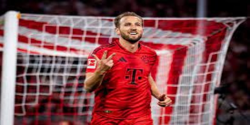 替补与新星的战术价值- 开云体育