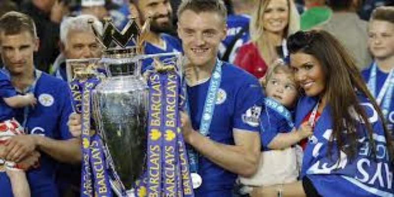 深度解析-三大关键维度影响莱斯特城夺冠-开云体育