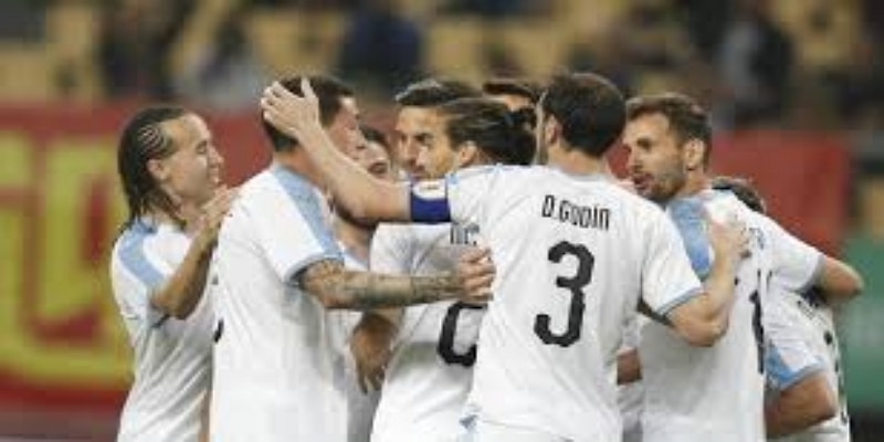 热刺青训岁月：开云体育独家回顾-开云体育