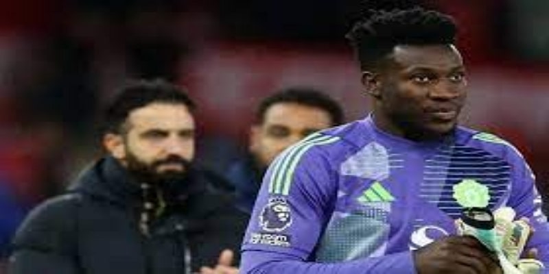 专家观点：三大因素造就25万英镑奇迹-开云体育