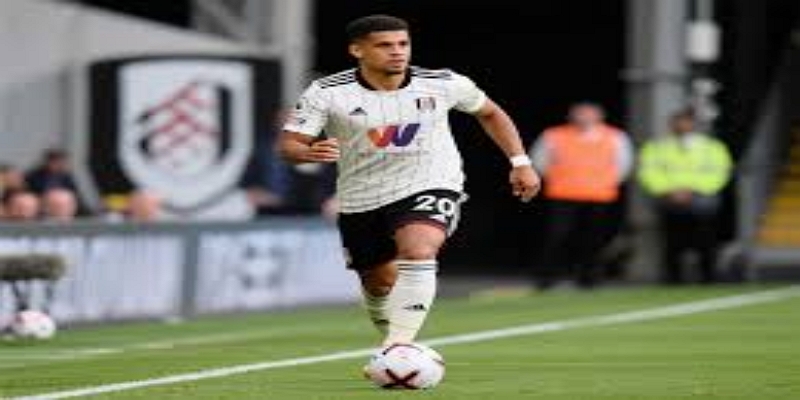 从多栖运动到足球专精：一次改变命运的选择-开云体育